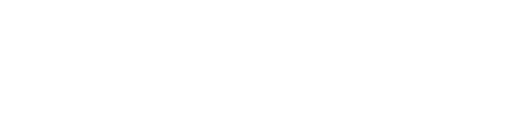 NeonBridge Logo